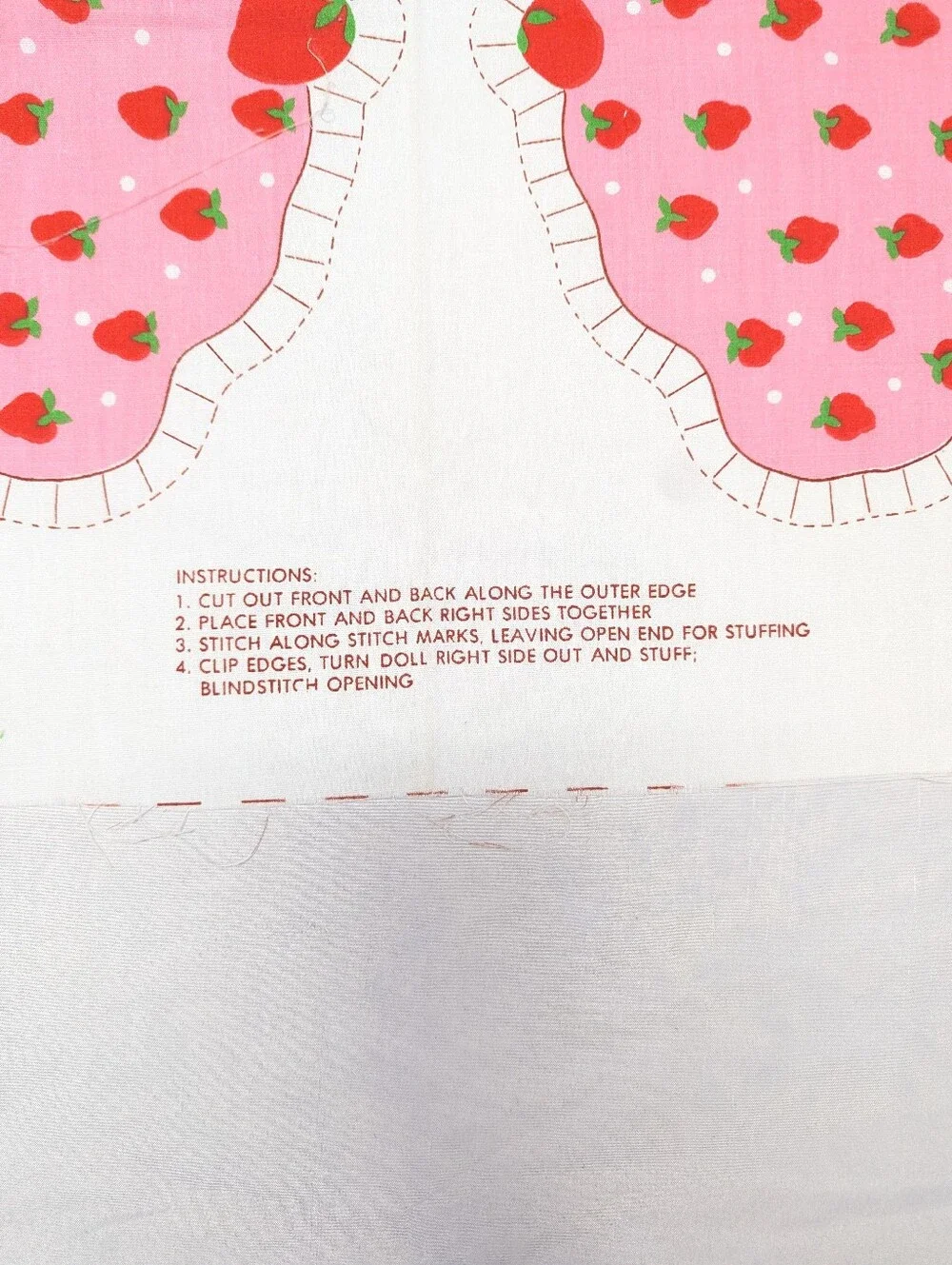 Strawberry Shortcake 20